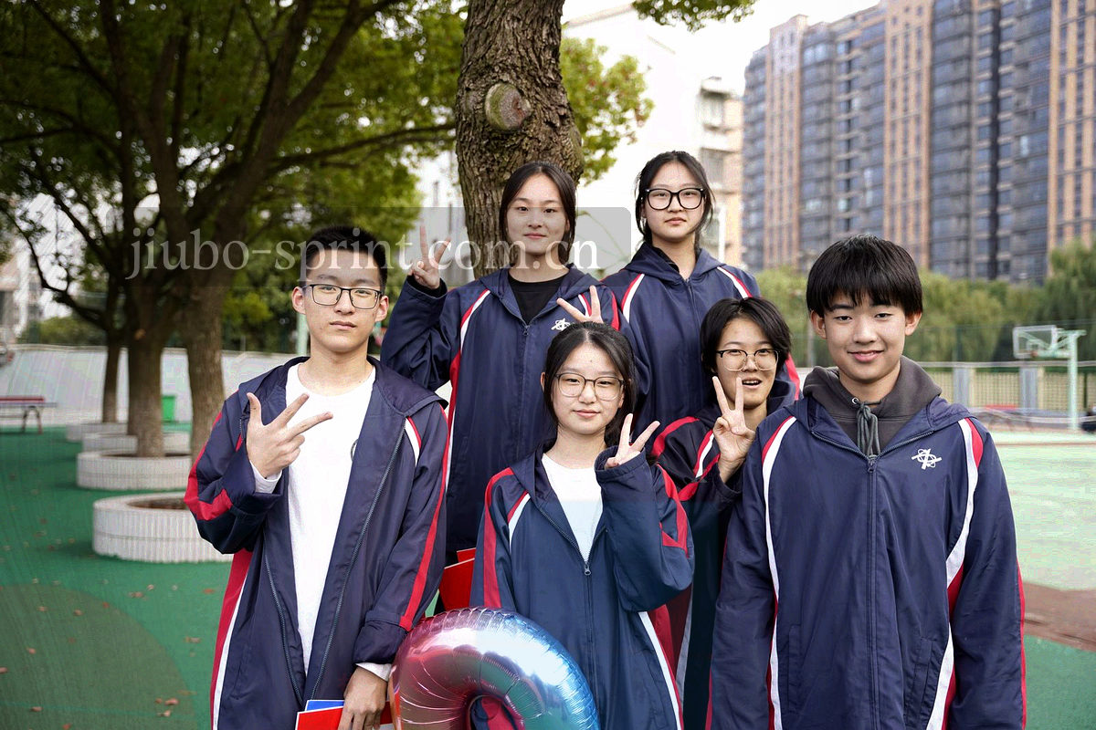 等距排列的细线与网格构成的抽象图形，表达条目与秩序